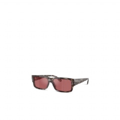 Diesel Men Rectangle sunglasses Red LX200300LEC