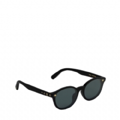 Louis Vuitton Women My Monogram Fame Round Sunglasses Z3111U